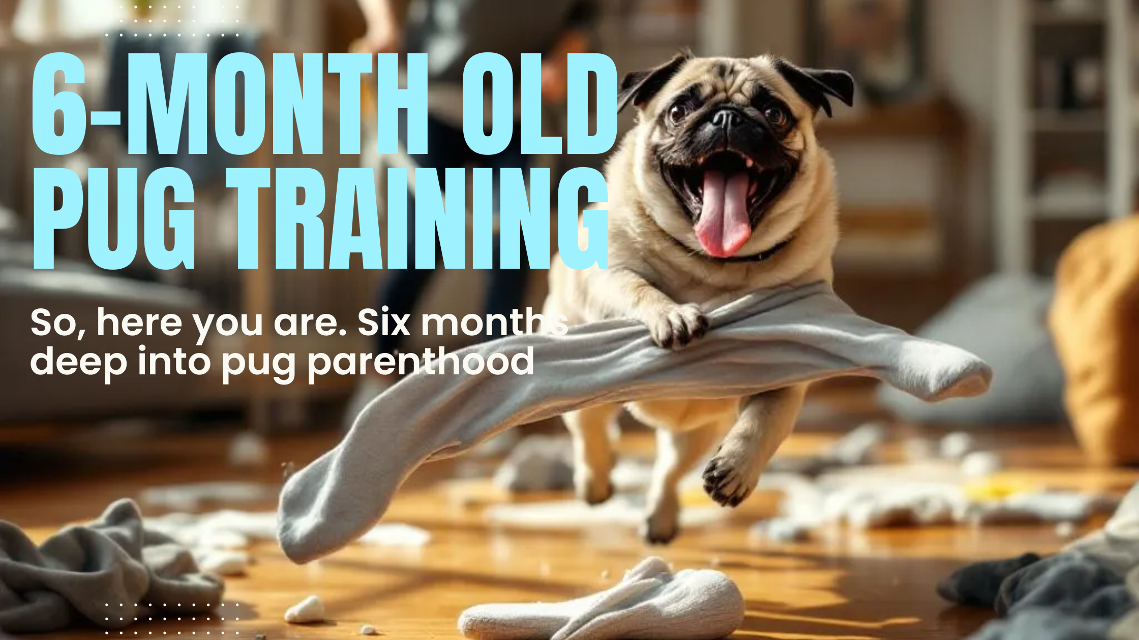 6-Month Old Pug Training: Guiding Your Little Gremlin With Love