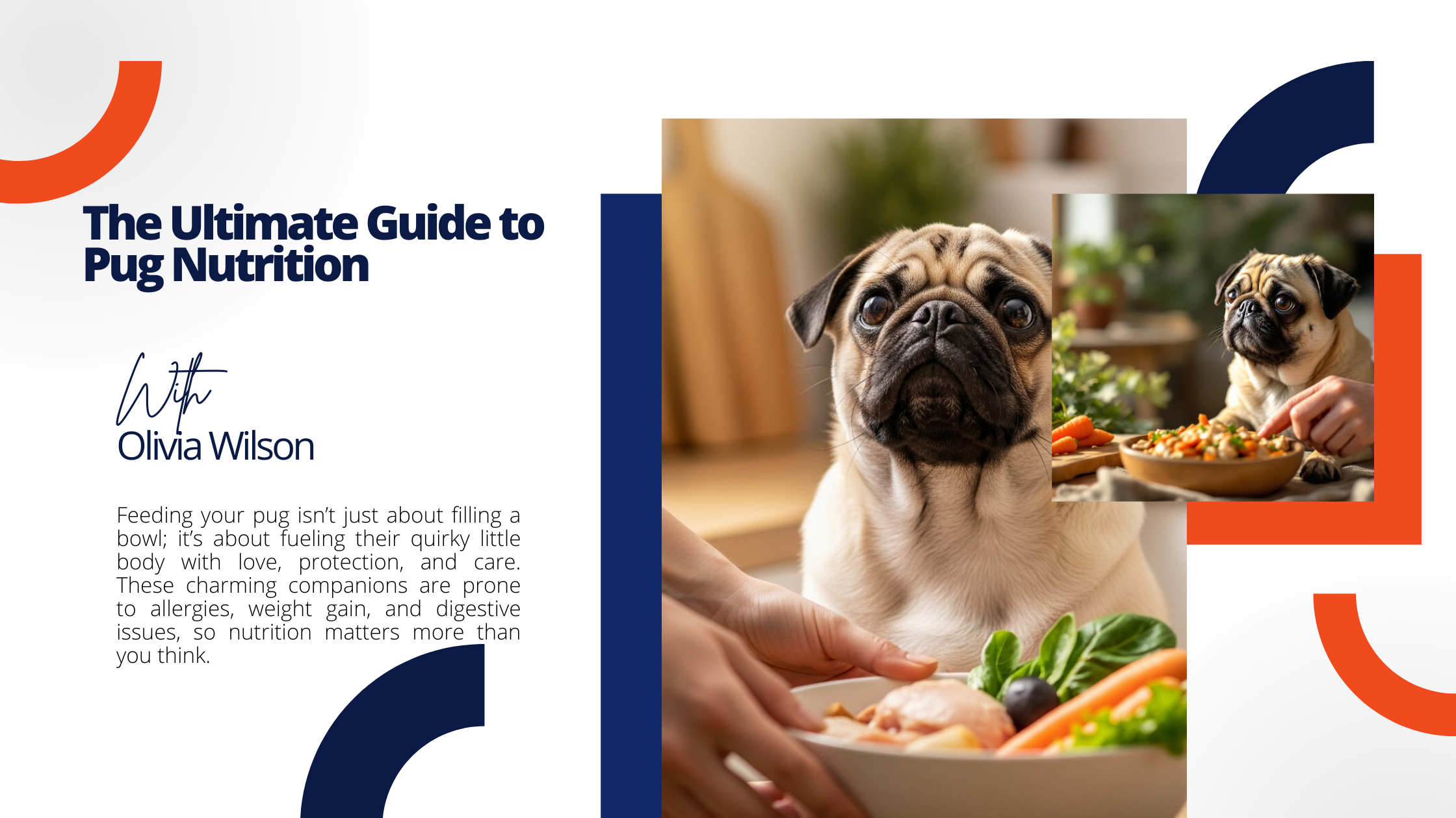 Pug nutrition