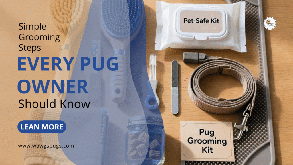 Simple Grooming Steps Every Pug Owner Should Know 10 Simple Pug Grooming Steps Every Owner Should Know proudly
