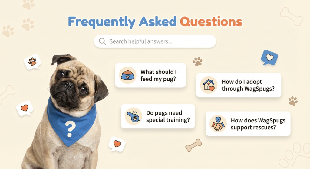 Frequently Asked Questions (FAQ) Last updated: 13/12/25 Welcome to the FAQ section of wagspugs.com. This page answers common questions about our website, content, and policies to help users clearly understand our purpose and services. 1. What is wagspugs.com? wagspugs.com is an informational website focused on pugs and dog-related topics. We publish articles, guides, and tips for dog lovers and pet owners. 2. Who owns wagspugs.com? Pet lovers who are enthusiastic about disseminating helpful dog-related information independently own and run wagspugs.com. 3. Is wagspugs.com a professional veterinary website? No, wagspugs.com is not a veterinary or medical website. All content is for informational purposes only. 4. Does wagspugs.com provide veterinary or medical advice? No. The content on this website does not replace professional veterinary advice. Always consult a licensed veterinarian for medical concerns about your pet. 5. Is the content on wagspugs.com free? Yes. All content on wagspugs.com is free to access and read for personal, non-commercial use. 6. Can I copy content from wagspugs.com? No. You may not copy, reproduce, or republish any content from wagspugs.com without written permission from the website owner. 7. How often is the content updated? We regularly update our website with new articles and revise existing content to keep information relevant and helpful. 8. Is the information on wagspugs.com accurate? We strive to provide accurate and reliable information. However, we do not guarantee completeness or accuracy, and users should verify important details independently. 9. Does wagspugs.com use cookies? Yes, wagspugs.com may use cookies to improve user experience and analyze website performance. 10. Does wagspugs.com show advertisements? Yes. To support website operations, wagspugs.com may show ads via Google AdSense or other advertising networks. 11. Do third-party advertisers collect data? Third-party advertisers, including Google, may use cookies or similar technologies to show relevant ads based on user interests. 12. How can users control cookies? Users can disable or manage cookies through their web browser settings at any time. 13. Does wagspugs.com collect personal information? Email addresses provided via contact forms are examples of the limited personal data we might gather. This data is handled according to our Privacy Policy. 14. Does wagspugs.com sell user data? No. We do not sell, trade, or rent user personal information to third parties. 15. Are external links safe to use? wagspugs.com may include links to third-party websites for additional resources. We have no control over the policies or content of other websites. 16. Can wagspugs.com guarantee third-party content? No. We do not control or guarantee the accuracy, reliability, or safety of content on external websites. 17. Who can use wagspugs.com? Wagspugs.com is appropriate for: Dog owners Pug lovers Pet enthusiasts General readers interested in dog care and information 18. How can I contact wagspugs.com? You can contact us through our Contact page or by email. Email: wagspugs@gmail.com Website: https://wagspugs.com 19. Can wagspugs.com change these FAQs? Yes. We reserve the right to update or modify this FAQ page at any time without prior notice. 20. What policies should users review? Users are encouraged to review our Privacy Policy Terms and Conditions Disclaimer Using wagspugs.com means you agree to follow these policies.